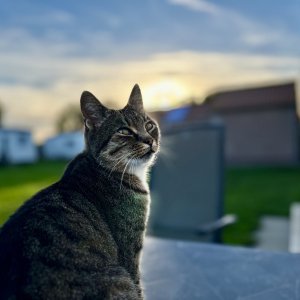 IMG_0836.jpg