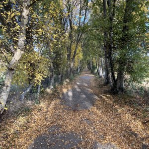 IMG_8044.jpeg