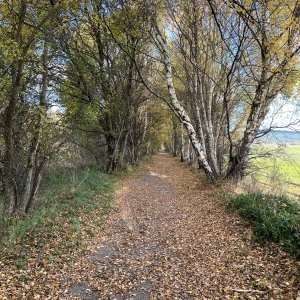 IMG_8045.jpeg
