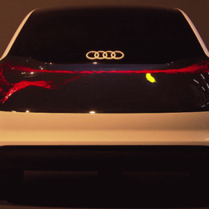 e6561816eb1233433af36f1a5427a3c5.gif