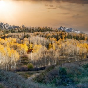 Colorado Fall 2022-5-NO-1.jpg