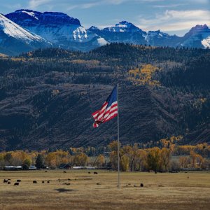 Colorado Fall 2022-14N-cytog copy.jpg