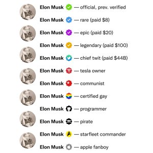1668038317095.jpeg