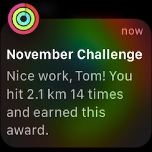 achievement 02.jpg