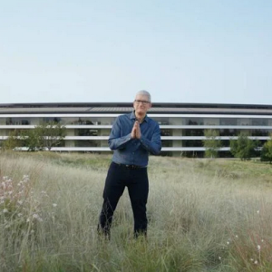 Tim Cook.png