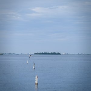 4175276F-AF78-4B84-9C27-476F56A11BF7.jpeg