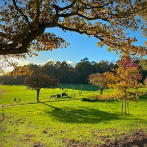 VICTORIA PARK - 19.11.22.jpg