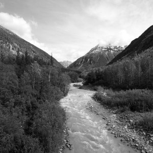 _7007317 - Version 2.jpg