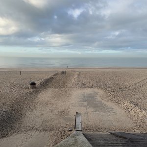 IMG_4412.jpeg