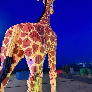 IMG_4404.jpeg