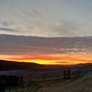 IMG_8103.jpg