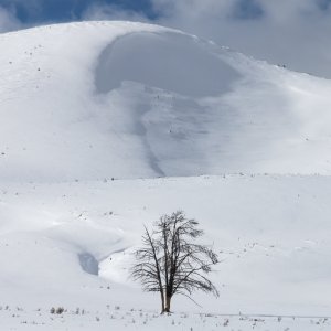 Yellowstone_IMG_9611.jpg