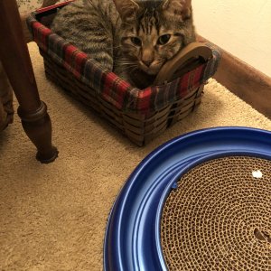IMG_0258.jpeg