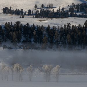 Yellowstone_IMG_9255.jpg