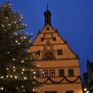 DSC_2029.JPG