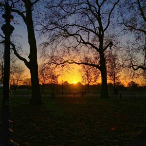 HYDE PARK - 25.11.2022.jpg
