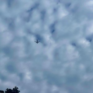IMG_6172.jpg