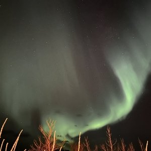 IMG_0180.jpeg