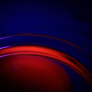 Red and Blue 2.jpeg