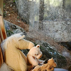 rainy day dream away x.jpg