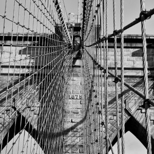 NYCDay1PM1466 _2011-08-26_15-57-51_IMG_1173 WithAdjustments.jpg