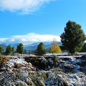 first snow 2011 copy 2 x.jpg