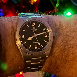Xmas Tudor Ranger.jpeg