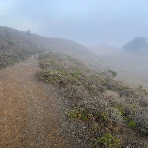 IMG_2749 copy.jpg
