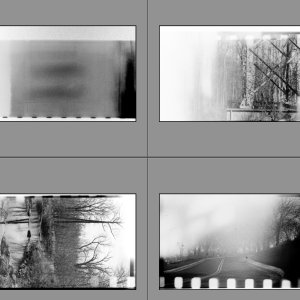 Screen Shot 2022-12-16 at 7.50.07 AM.jpg