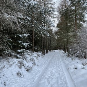 IMG_8150.jpeg