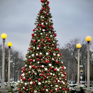 DE726C34-1FDC-49C0-B155-E11F117184ED.jpeg