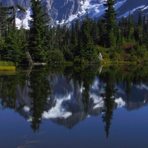 Cascades_IMG_5957a.jpg