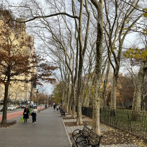 IMG_6974.jpg