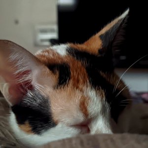 1671533611875.jpg
