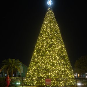 Eola Christmas 2500px-10.jpg