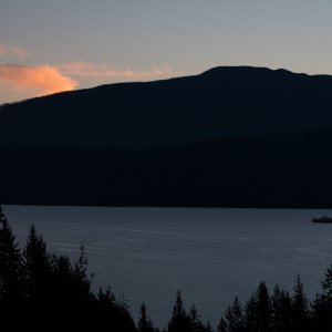 Selkirk_IMG_1639.jpg