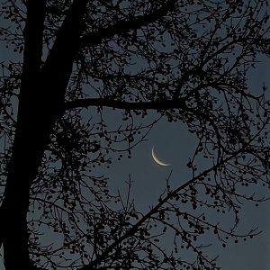 IMG_2322.JPG