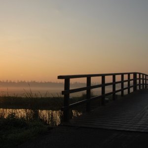 DSC_7280.jpg