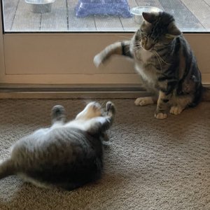 IMG_2354.jpeg