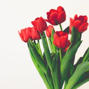 20211220_0953267029-1_Original ratio_2160x2700_U_180.jpg