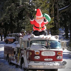 palomar santa 4 x.jpg