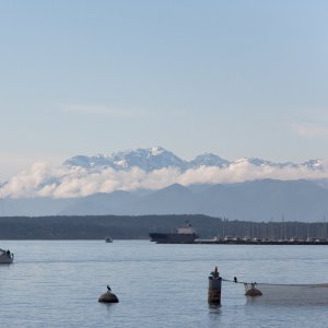 Seattle_IMG_6910.jpg