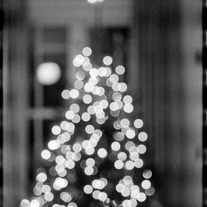 Web_December_15_2022_001-2.jpg