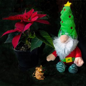 Gnome and Mouse Celebrate Chistmas.jpeg