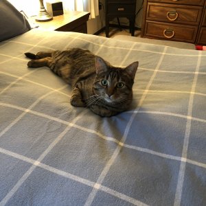 IMG_0549.jpeg
