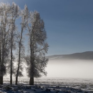 Yellowstone_IMG_9277.jpg
