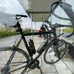IMG_9888.jpeg
