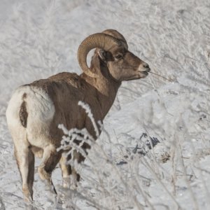 IMG_9294.jpg
