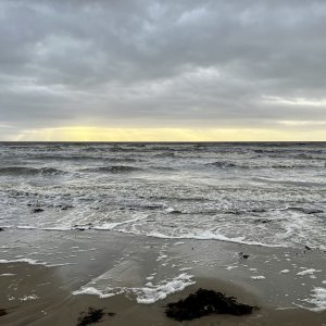 IMG_8775.jpeg