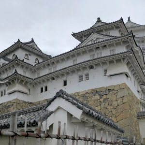 IMG_5461.jpg